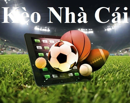 10 Nhà Cái Uy Tín Hàng Đầu – So Sánh Chi Tiết Chất Lượng Dịch Vụ