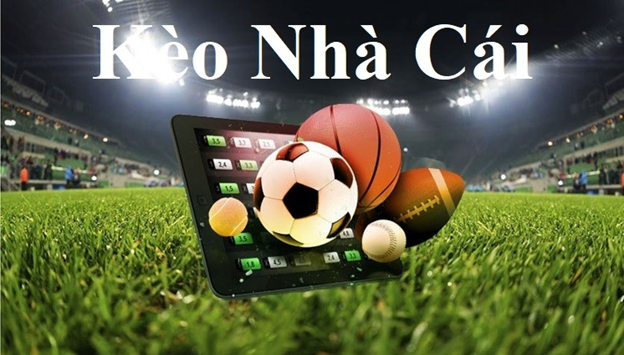 10 Nhà Cái Uy Tín Hàng Đầu - So Sánh Chi Tiết Chất Lượng Dịch Vụ